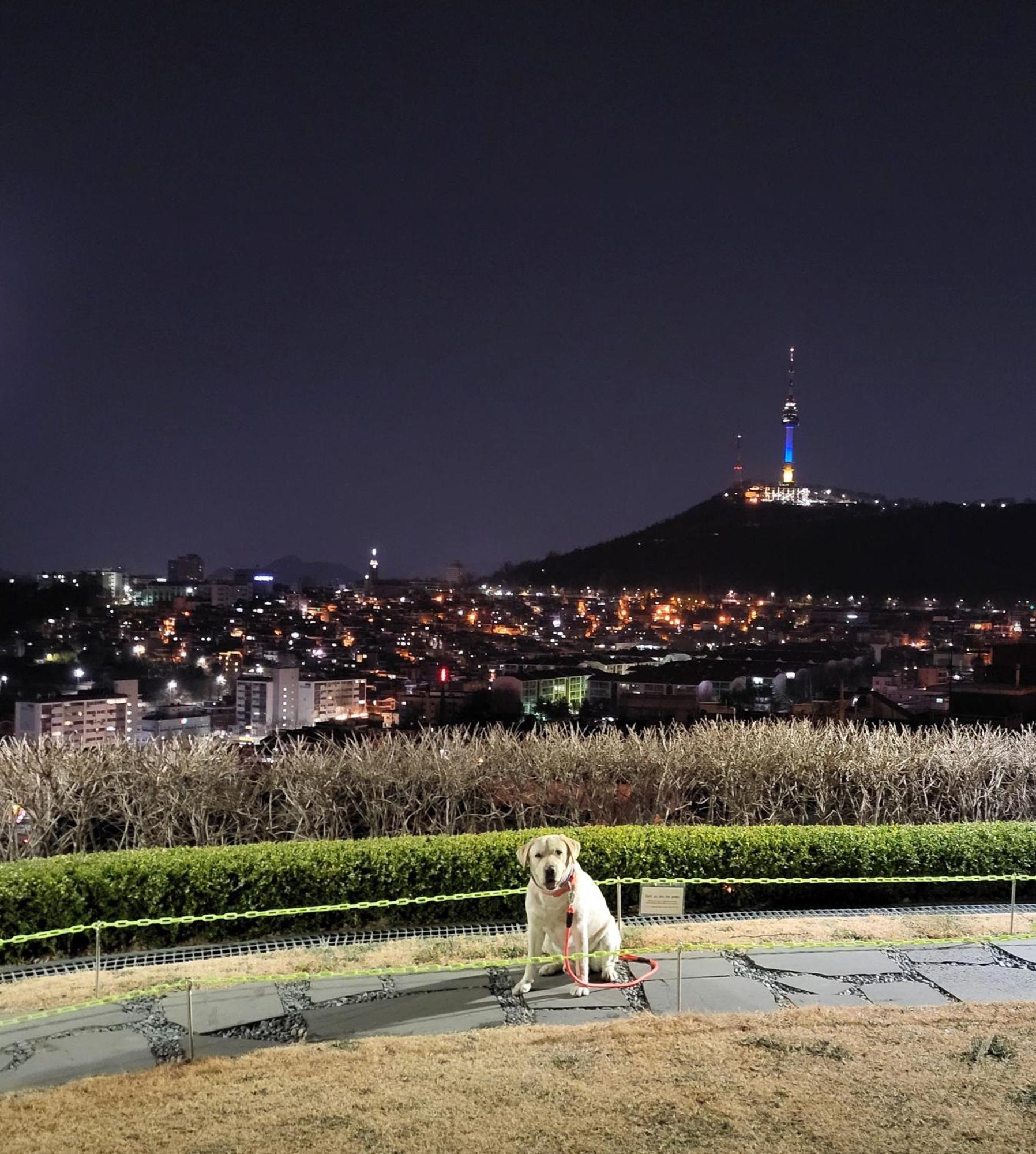 Newly Renovated 2 Bedroom Apartment #7 Seul Dış mekan fotoğraf